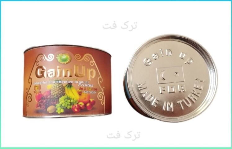 قرص اصلی گین آپ